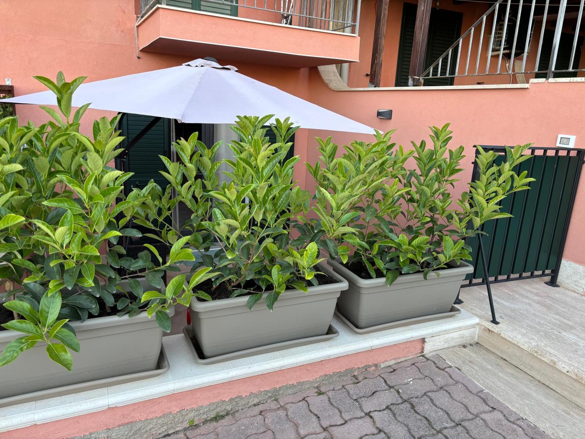 Casa Vacanza Scala Dei Turchi Realmonte Buitenkant foto